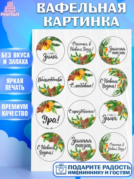 Вафельная картинка, Новый год, Девочка, арт. PT226133