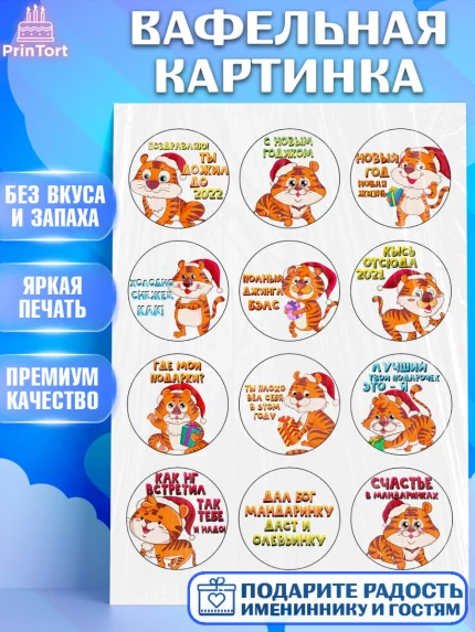 Вафельная картинка, Новый год, Девочка, арт. PT226148