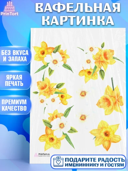 Вафельная картинка, 8 марта, Международный женский день, Девочка, Международный женский день 8 марта, арт. PT226842