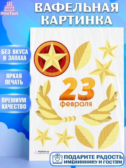 Вафельная картинка, 23 февраля, День Защитника Отечества, Мальчик, арт. PT226874