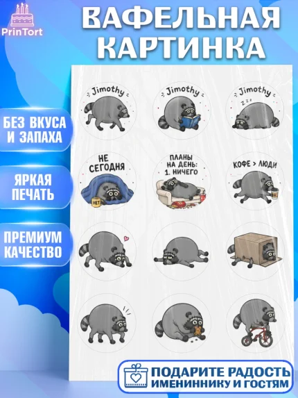 Вафельная картинка, Енот Джимити, Мальчик, День рождения, арт. PT227386