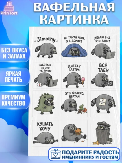 Вафельная картинка, Енот Джимити, Мальчик, День рождения, арт. PT227387
