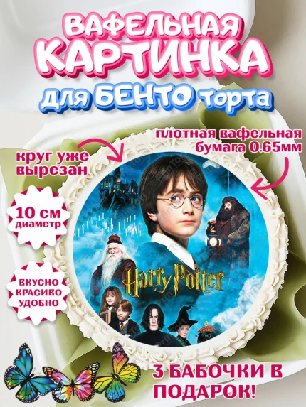 Вафельный круг для Бенто 10см, Гарри Поттер, Harry Potter, Девочка, День рождения, арт. PT301338