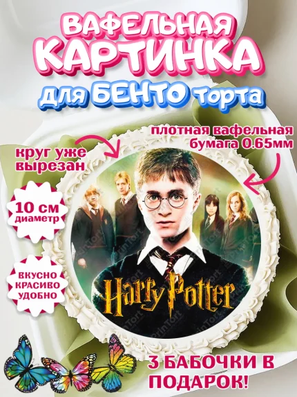 Вафельный круг для Бенто 10см, Гарри Поттер, Harry Potter, Девочка, День рождения, арт. PT301340