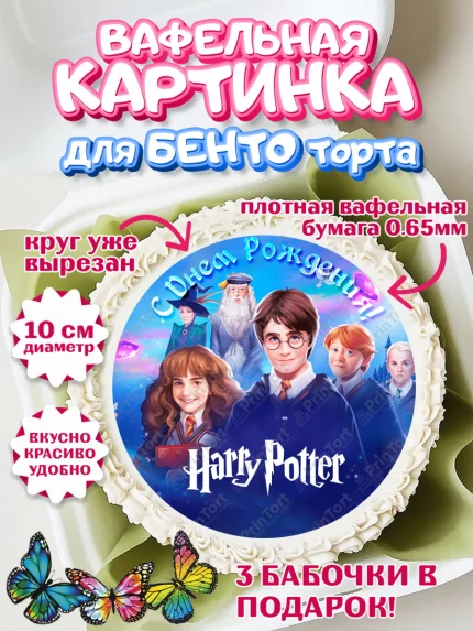 Вафельный круг для Бенто 10см, Гарри Поттер, Harry Potter, Девочка, День рождения, арт. PT301344