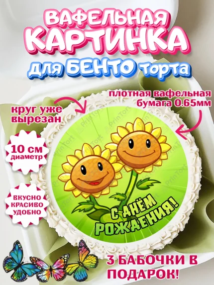 Вафельный круг для Бенто 10см, Растения против зомби, Девочка, День рождения, арт. PT302903