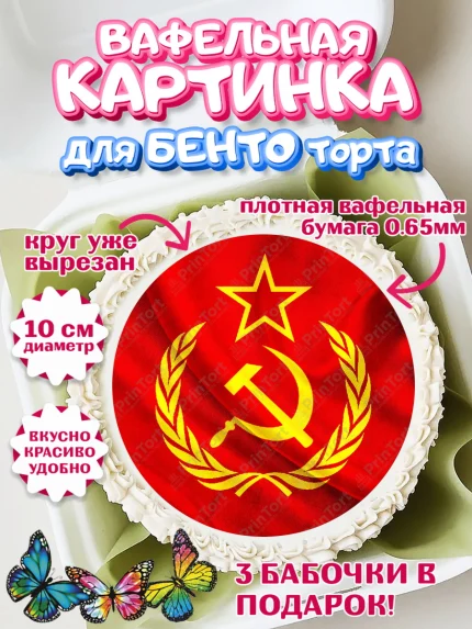 Вафельный круг для Бенто 10см, Сделан в СССР, Девочка, День рождения, арт. PT303538