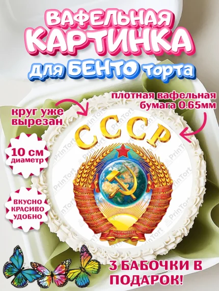 Вафельный круг для Бенто 10см, Сделан в СССР, Девочка, День рождения, арт. PT303539