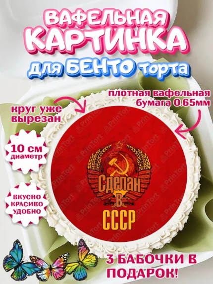 Вафельный круг для Бенто 10см, Сделан в СССР, Девочка, День рождения, арт. PT303540