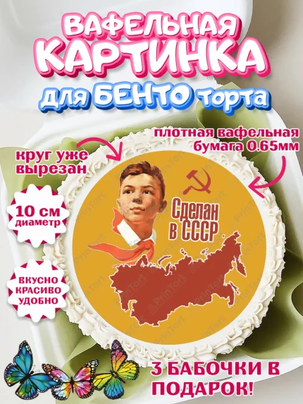 Вафельный круг для Бенто 10см, Сделан в СССР, Девочка, День рождения, арт. PT303542