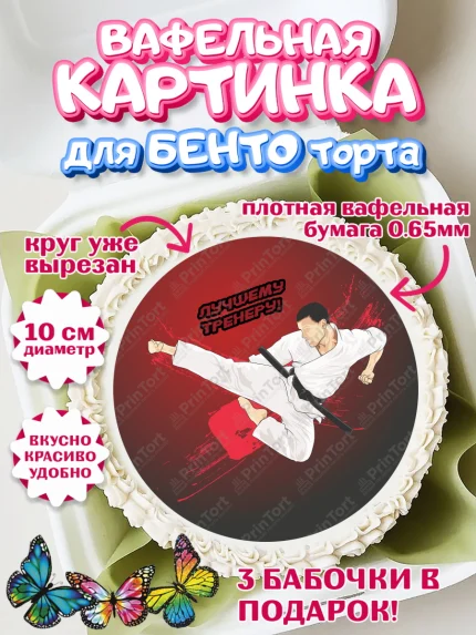 Вафельный круг для Бенто 10см, Карате, Спорт, Мальчик, День рождения, арт. PT304106