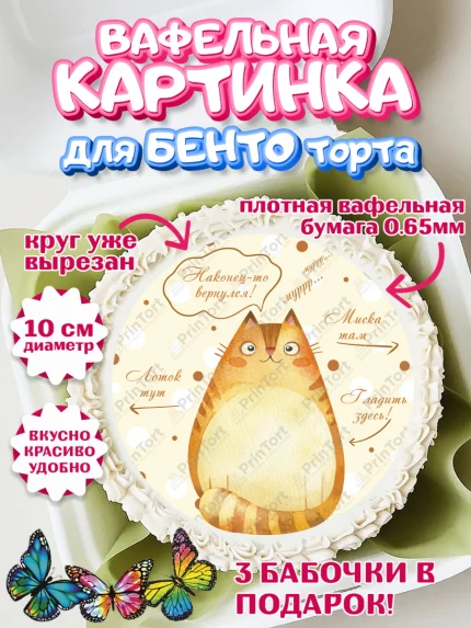 Вафельный круг для Бенто 10см, Добро пожаловать, Новоселье, Девочка, арт. PT304200