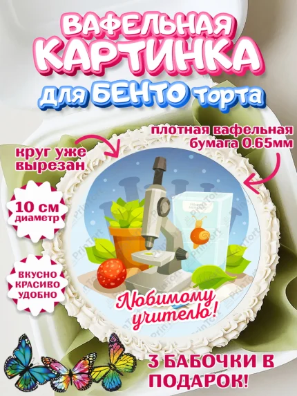 Вафельный круг для Бенто 10см, день учителя, Девушка, арт. PT305366