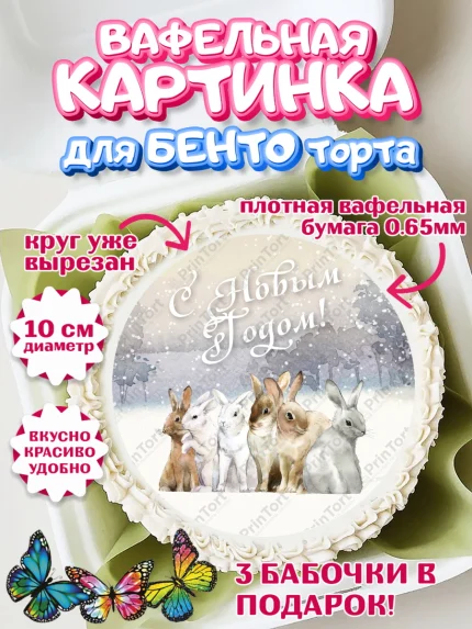 Вафельный круг для Бенто 10см, Новый год, Девочка, арт. PT305767
