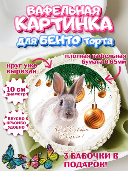 Вафельный круг для Бенто 10см, Новый год, Девочка, арт. PT305957