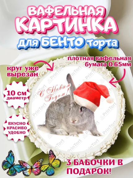 Вафельный круг для Бенто 10см, Новый год, Девочка, арт. PT305960