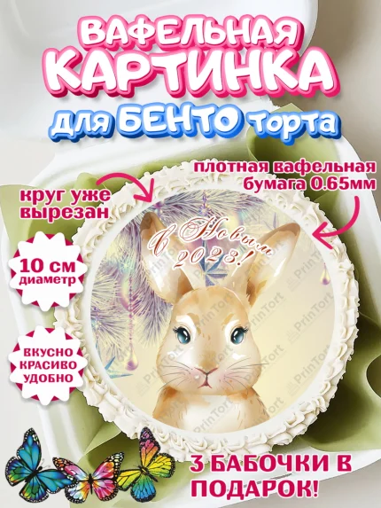 Вафельный круг для Бенто 10см, Новый год, Девочка, арт. PT305961