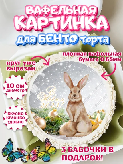 Вафельный круг для Бенто 10см, Новый год, Девочка, арт. PT305962
