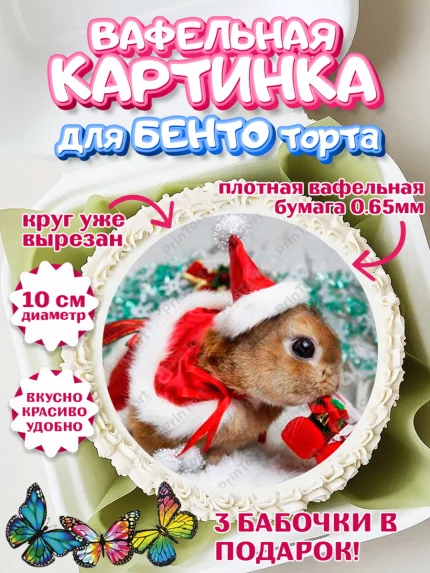 Вафельный круг для Бенто 10см, Новый год, Девочка, арт. PT306455