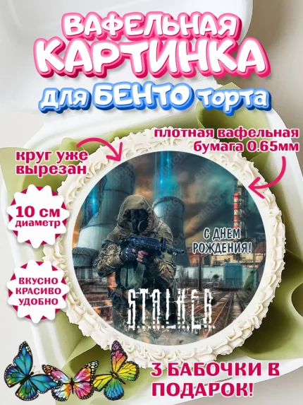 Вафельный круг для Бенто 10см, Сталкер, Stalker, Мальчик, День рождения, арт. PT306713