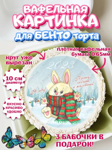 Вафельный круг для Бенто 10см, Новый год, Девочка, арт. PT306923