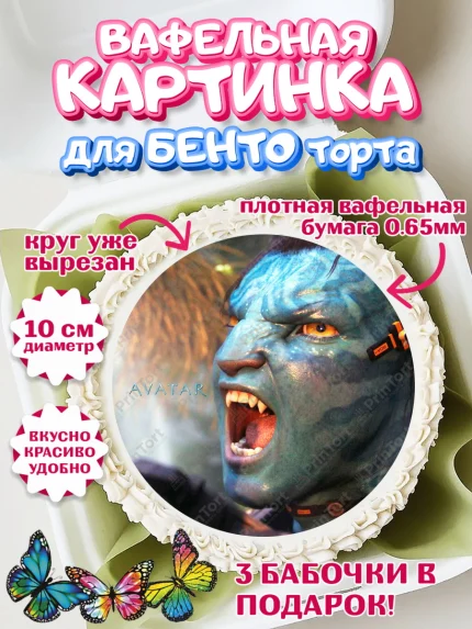 Вафельный круг для Бенто 10см, Аватар, Avatar, Девочка, День рождения, арт. PT307380