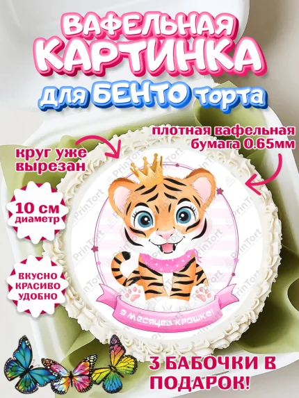 Вафельный круг для Бенто 10см, Девочке 9 мес, Девочка, 9 месяцев, День рождения, арт. PT307618
