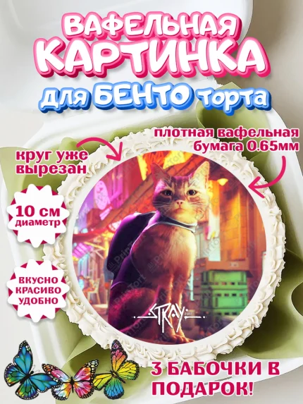Вафельный круг для Бенто 10см, Стрэй, Stray, Мальчик, День рождения, арт. PT309026