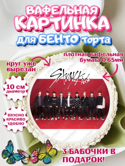 Вафельный круг для Бенто 10см, Стрей Кидс, Stray Kids, Девочка, День рождения, арт. PT309183
