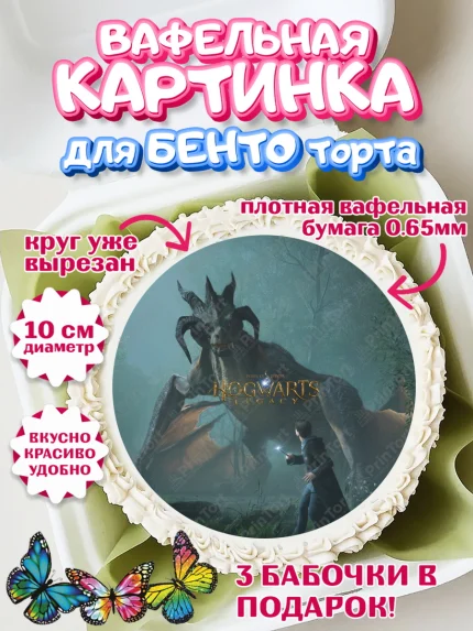 Вафельный круг для Бенто 10см, Гарри Поттер, Хогвартс Легаси, Девочка, День рождения, арт. PT309673