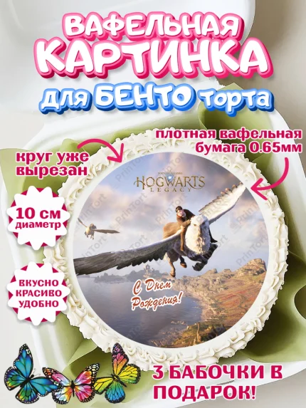 Вафельный круг для Бенто 10см, Гарри Поттер, Хогвартс Легаси, Девочка, День рождения, арт. PT309677