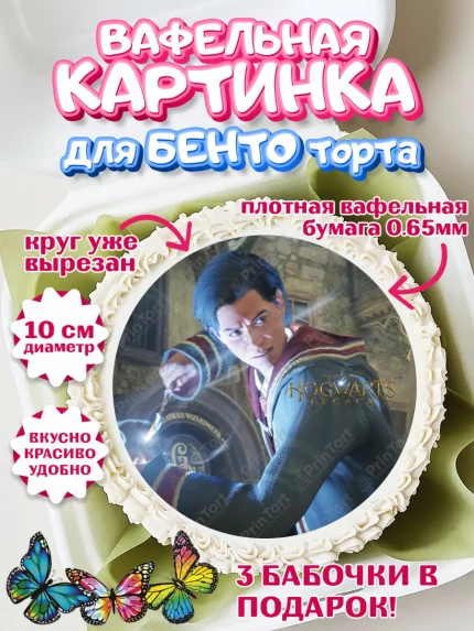 Вафельный круг для Бенто 10см, Гарри Поттер, Хогвартс Легаси, Девочка, День рождения, арт. PT309679