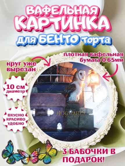 Вафельный круг для Бенто 10см, Гарри Поттер, Хогвартс Легаси, Девочка, День рождения, арт. PT309680