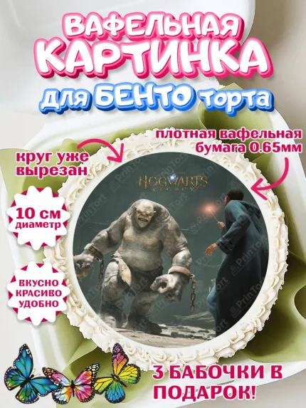 Вафельный круг для Бенто 10см, Гарри Поттер, Хогвартс Легаси, Девочка, День рождения, арт. PT309681