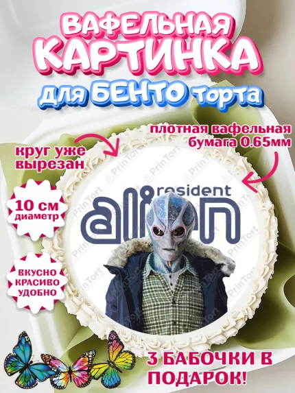 Вафельный круг для Бенто 10см, Засланец из космоса, Девочка, День рождения, арт. PT310402