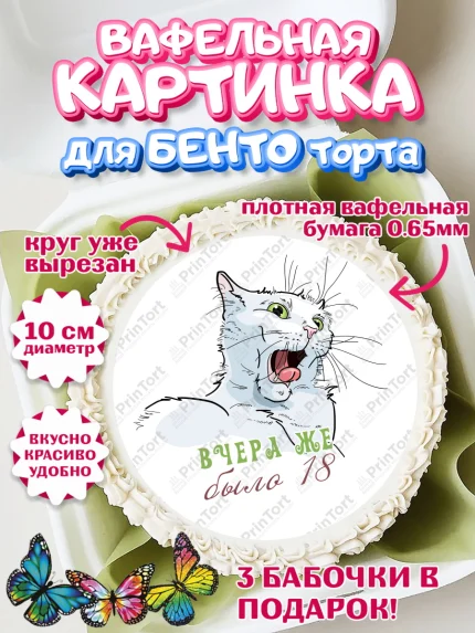 Вафельный круг для Бенто 10см, Девушке, Вчера же было 18, Девочка, День рождения, арт. PT310644