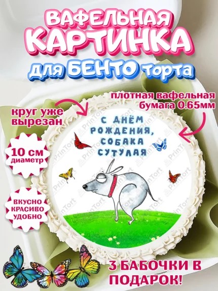 Вафельный круг для Бенто 10см, Прикольные, Собака сутулая, Девочка, День рождения, арт. PT310715