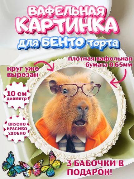 Вафельный круг для Бенто 10см, Капибара, Девочка, День рождения, арт. PT311028