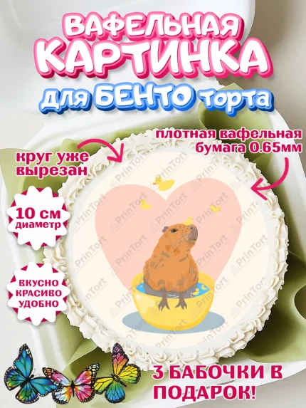 Вафельный круг для Бенто 10см, Капибара, Девочка, День рождения, арт. PT311040