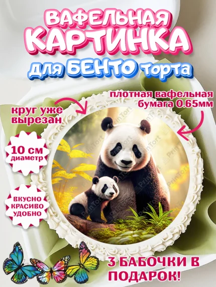 Вафельный круг для Бенто 10см, Панда, Животные, Девочка, День рождения, арт. PT311423