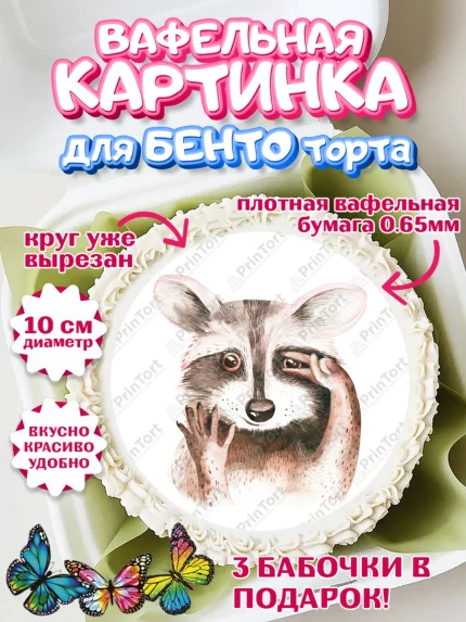 Вафельный круг для Бенто 10см, Енот, Животные, Девочка, День рождения, арт. PT311443