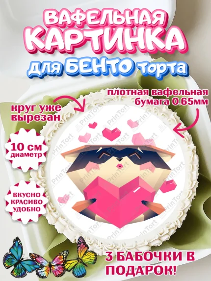 Вафельный круг для Бенто 10см, Енот, Животные, Девочка, День рождения, арт. PT311450