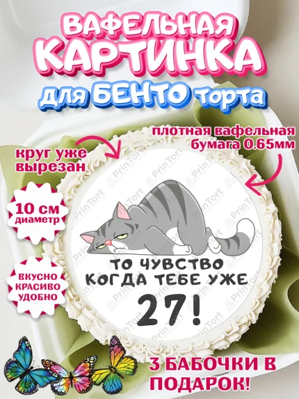 Вафельный круг для Бенто 10см, с днем рождения, Девушка, 27 лет, День рождения, арт. PT311924