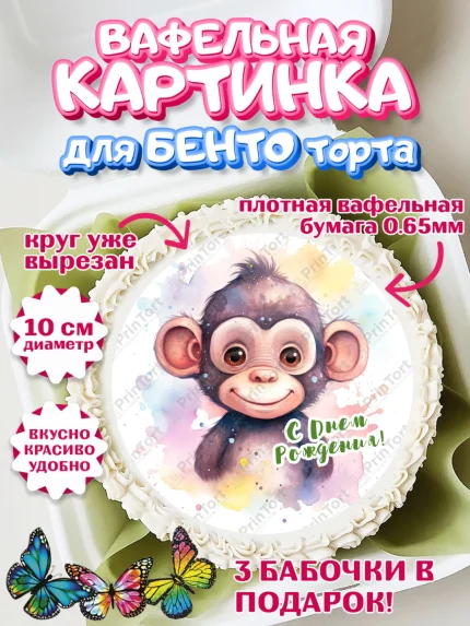 Вафельный круг для Бенто 10см, Животные Сафари, звери, животные, обезьяна, лев, цветы, Девочка, арт. PT313648