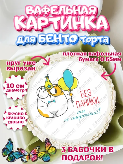 Вафельный круг для Бенто 10см, Без паники, кот, шарики, корона, смайл, Мальчик, День рождения, арт. PT316294