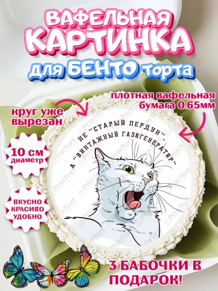 Вафельный круг для Бенто 10см, Не старый пердун, кот, джип, монеты, звезды, Мальчик, День рождения, арт. PT316332