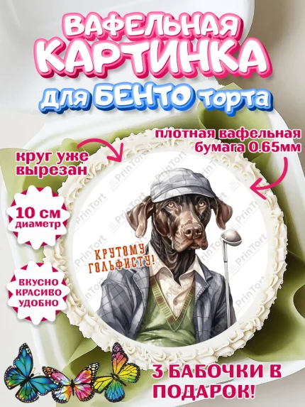 Вафельный круг для Бенто 10см, Гольф, собака, кубок, гольф-клюшка, мяч для гольфа, Мальчик, арт. PT316558