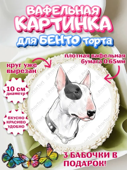 Вафельный круг для Бенто 10см, Бультерьер, Собака, Девочка, День рождения, арт. PT318312