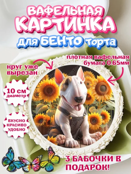 Вафельный круг для Бенто 10см, Бультерьер, Собака, Девочка, День рождения, арт. PT318315