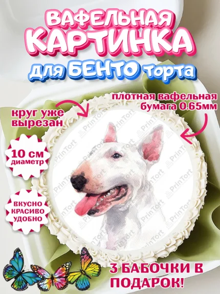 Вафельный круг для Бенто 10см, Бультерьер, Собака, Девочка, День рождения, арт. PT318320